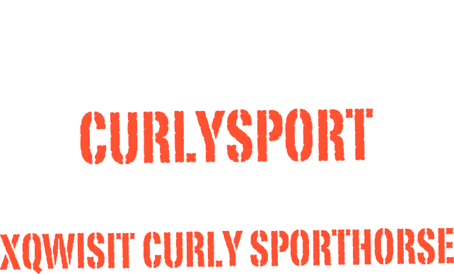 our big sky ranch
home of
CURLYSPORT
AND THE
xqwisit curly sporthorse